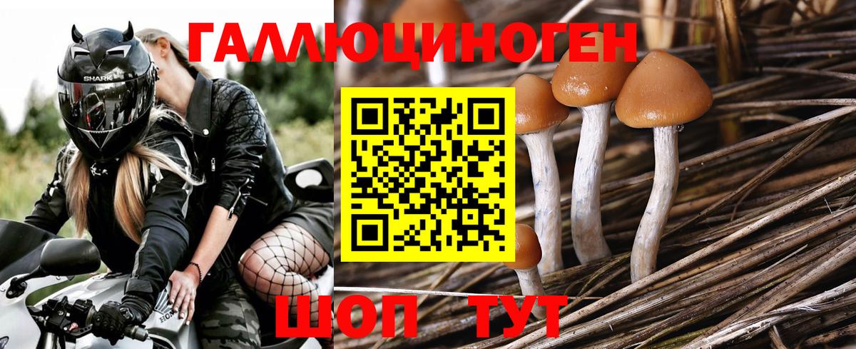 Псилоцибиновые грибы MAGIC MUSHROOMS  Псилоцибиновые грибы Psilocybe  Волгодонск  Вход с VPN 